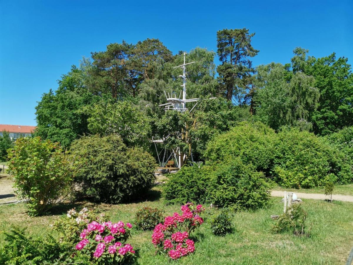 Kleine Ferienwohnung Am Strand In Kühlungsborn Dış mekan fotoğraf